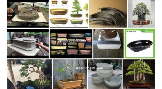 Pot Bonsai: Pedoman & Informasi Mengenai Pot Bonsai
