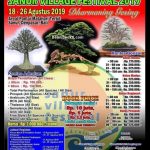 Kontes Bonsai, Bonsai & Adenium Nasional Di Sanur Bali Bulan Agustus