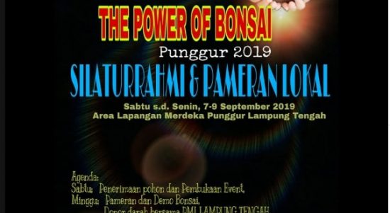Pameran Bonsai, The Power Of Bonsai Lampung Tengah 2019